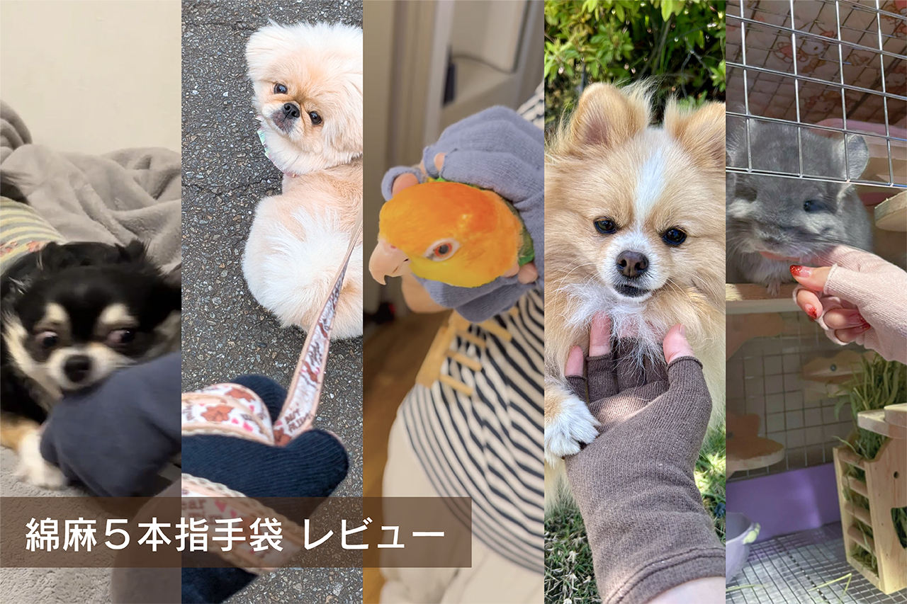 綿麻の5本指手袋と小さな家族と毎日を楽しく暮らす。素敵なクリエイター様の声 part.2